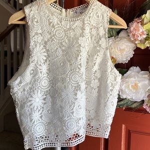 2 items for one price. Iris lace top with S.O.N.G curvy midrise shorts